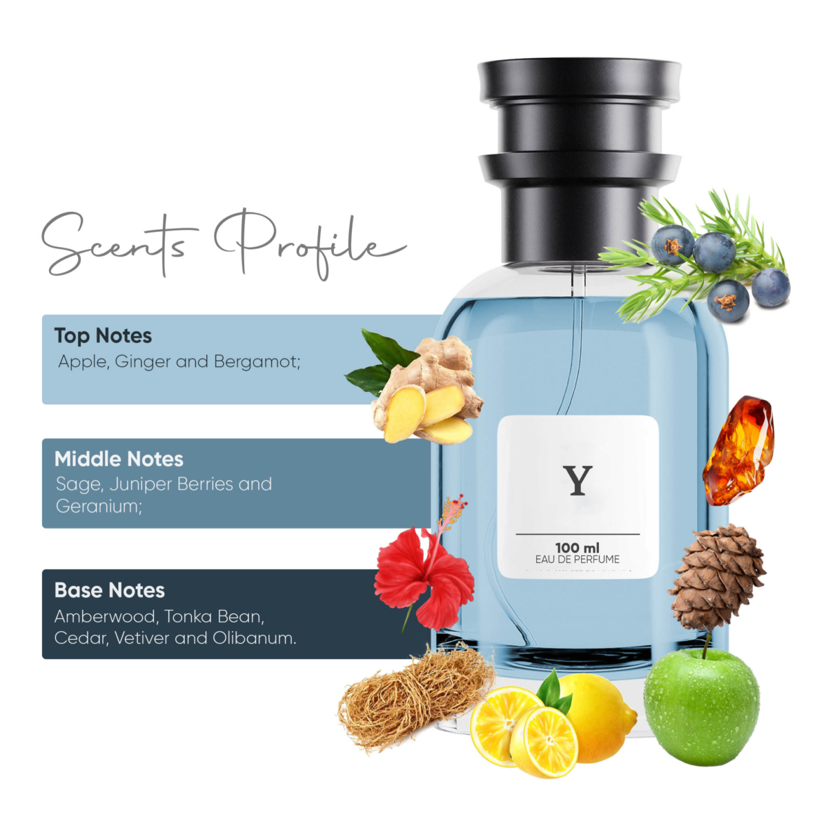 Y - Eau de Parfum (for him/her) - Image 3