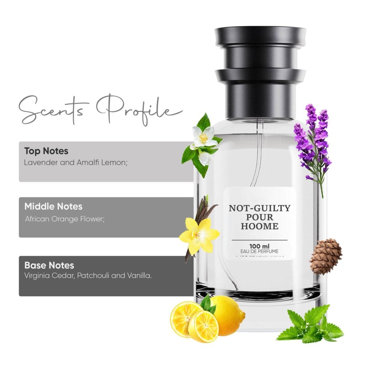 Not Guilty Pour Hoome - Eau de Parfum (for him) - Image 3