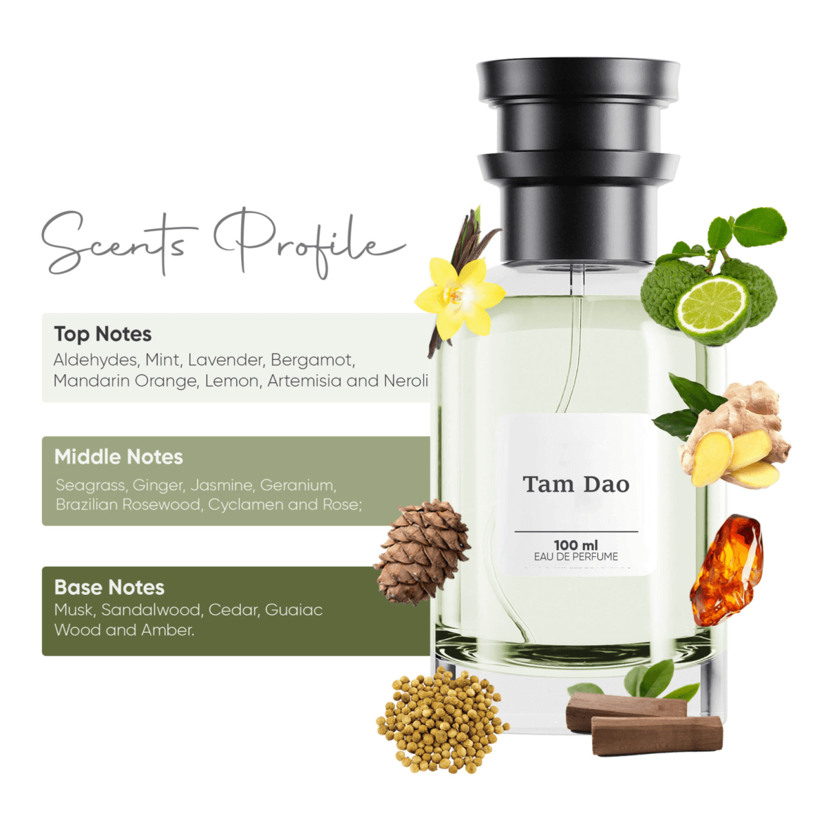 Tam Dao - Eau de Parfum (Used by shahrukh khan) - Image 3
